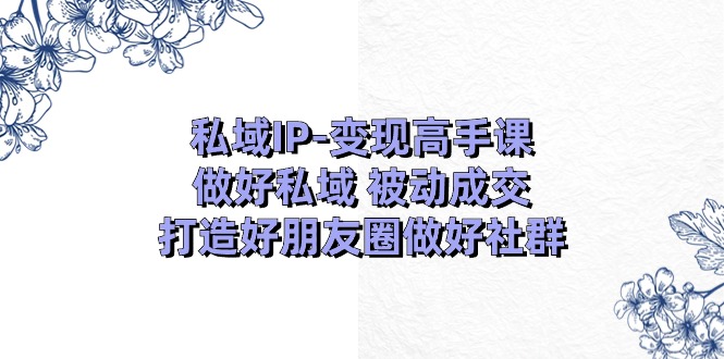 公域IP转现大神课：搞好公域处于被动交易量，打造好微信朋友圈搞好社群营销（18节）-云网创资源站