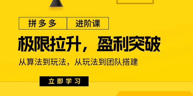 拼多多平台升阶课：极限值拉涨/赢利提升：从优化算法到游戏玩法 从模式到团队搭建（18节）-云网创资源站