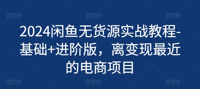 2024闲鱼平台无货源电商实战演练实例教程-基本 升级版，离转现近期的电商项目-云网创资源站