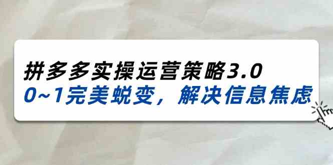 2024-2025拼多多实操运营策略3.0，0~1完美蜕变，解决信息焦虑（38节）-云网创资源站