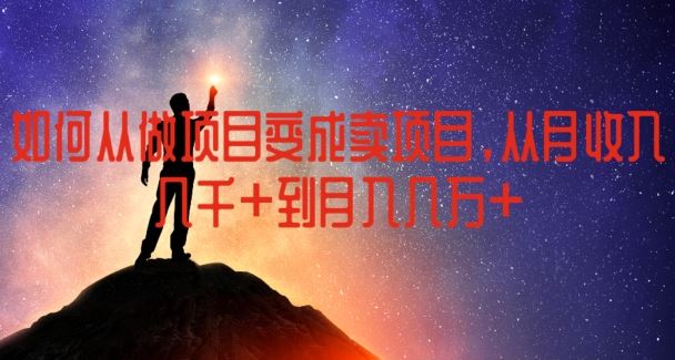 如何从做项目变成卖项目，从月收入几千到月入几万【揭秘】-云网创资源站