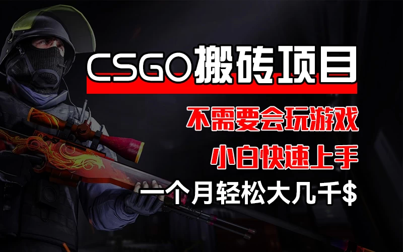 CSGO 装备搬砖项目，操作简单，不需要会玩游戏，小白也能快速上手，一个月轻松大几千-云网创资源站