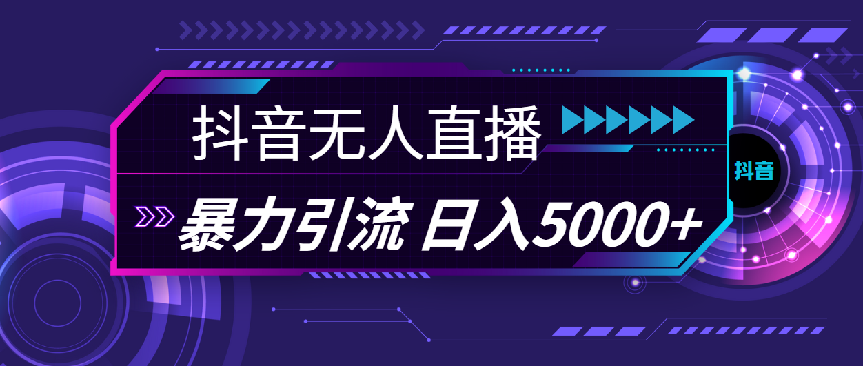 抖音无人在线，爆利引流方法，日入5000-云网创资源站