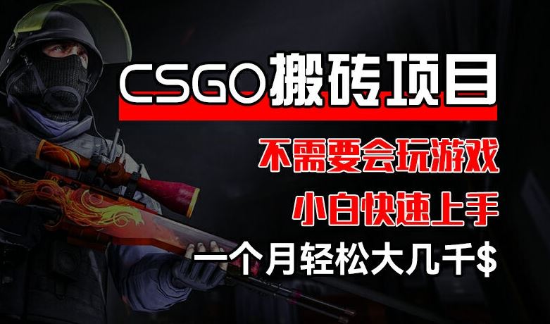 CSGO 装备搬砖项目，操作简单，不需要会玩游戏，小白也能快速上手，一个月轻松大几千【揭秘】-云网创资源站