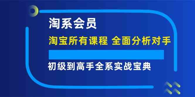 淘系会员初级到高手全系实战宝典【淘宝所有课程，全面分析对手】-云网创资源站