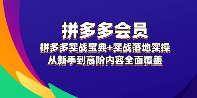 拼多多 会员，拼多多实战宝典+实战落地实操，从新手到高阶内容全面覆盖-云网创资源站