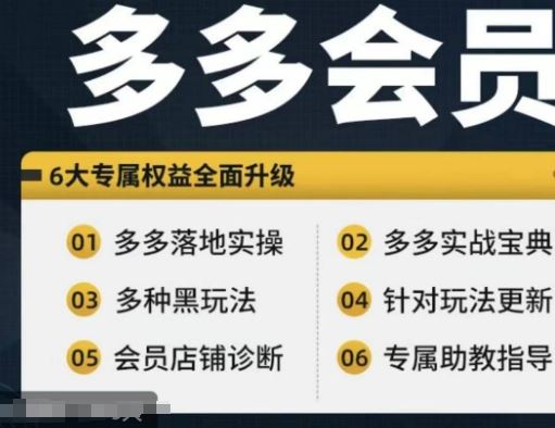 拼多多会员，拼多多实战宝典+实战落地实操，从新手到高阶内容全面覆盖-云网创资源站