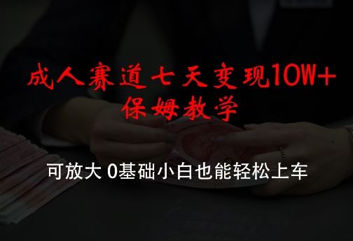 成人赛道七天变现10W+保姆教学，可放大，0基础小白也能轻松上车【揭秘】-云网创资源站