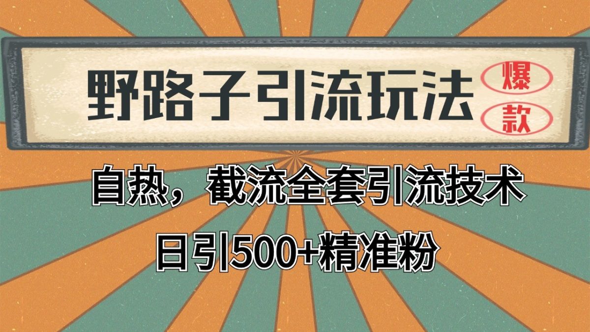 抖音小红书视频号全平台引流打法，全自动引流日引2000+精准客户-云网创资源站