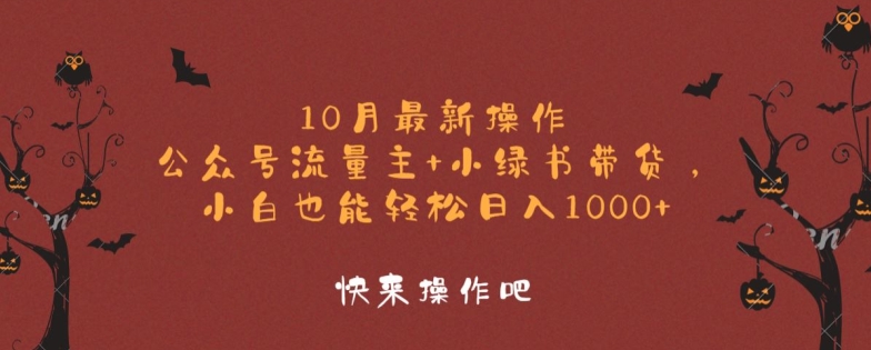 10月最新操作，公众号流量主+小绿书带货，小白也能轻松日入1k-云网创资源站