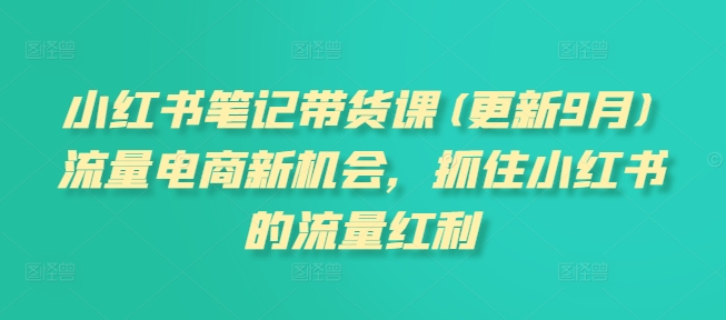 小红书笔记带货课(更新9月)流量电商新机会，抓住小红书的流量红利-云网创资源站