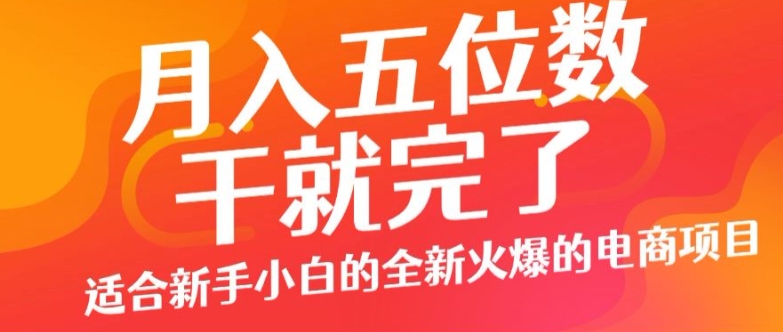 月入五位数，干就完了， 适宜新手入门一个全新的火热的电商项目-云网创资源站