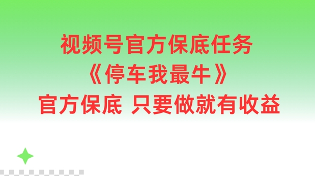 微信视频号官方网最低每日任务，泊车我最牛，官方网最低只要做就会有盈利【揭密】-云网创资源站