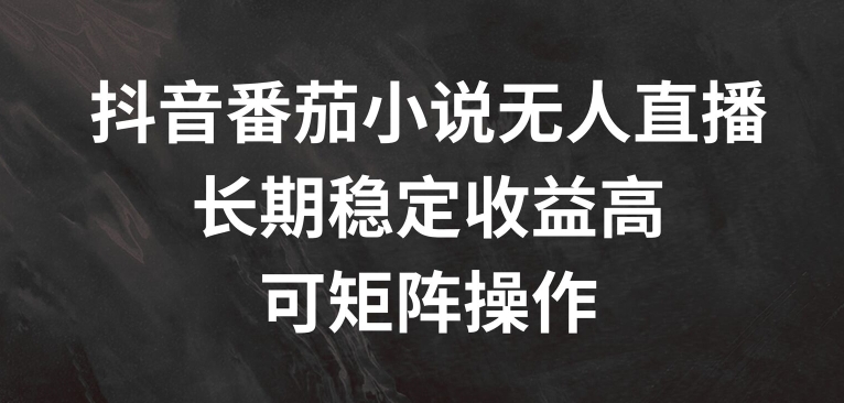 抖音视频番茄小说无人直播，长期性稳定盈利高，可引流矩阵实际操作【揭密】-云网创资源站