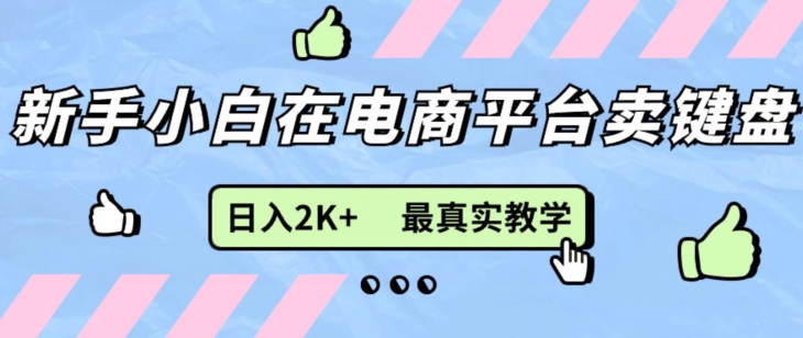 全新无货源电商0成本费电子商务，新手入门能做，后面帮扶打满，细腻课堂教学-云网创资源站