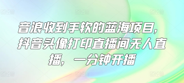 音浪收到手软的蓝海项目，抖音头像打印直播间无人直播，一分钟开播-云网创资源站