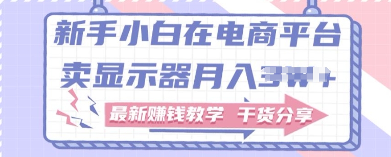 新手入门怎样做到在电商平台卖显示屏，最新赚钱课堂教学满满干货-云网创资源站