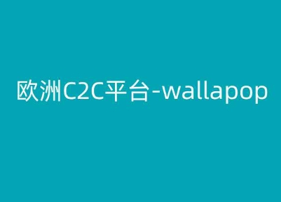 欧洲地区C2C服务平台-wallapop-kim跨境电子商务实例教程-云网创资源站