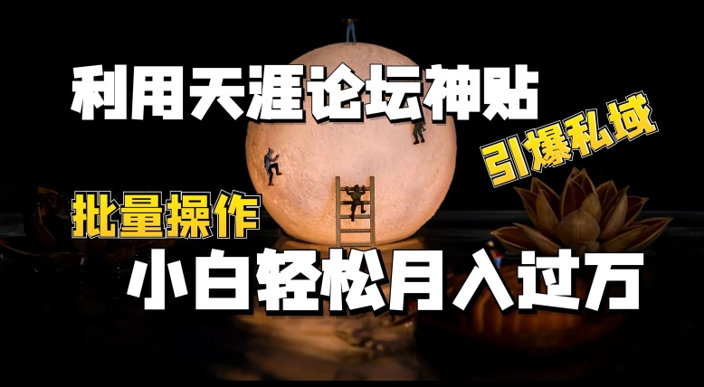 运用天涯社区神贴，点爆公域，批量处理，新手轻轻松松月入了w【揭密】-云网创资源站