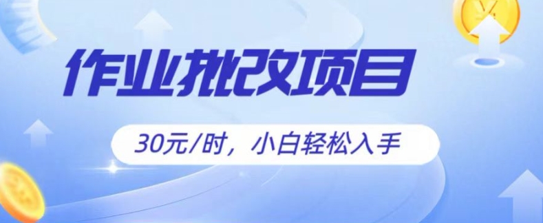 批作业新项目，30元后，简易易上手，适宜宝妈妈，在校大学生-云网创资源站