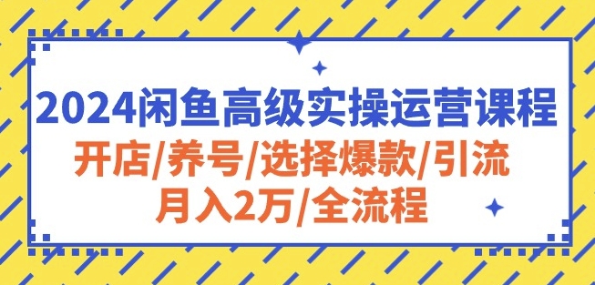 2024闲鱼高级实操运营课程：开店/养号/选择爆款/引流/月入2万/全流程-云网创资源站