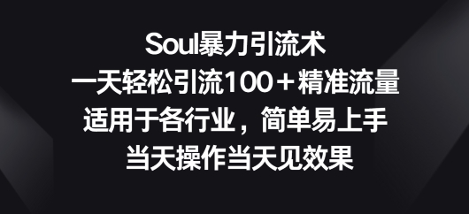 Soul暴力引流术，一天轻松引流100＋精准流量，适用于各行业，简单易上手-云网创资源站