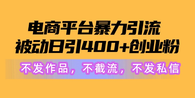 电商平台暴力引流，被动日引400+创业粉不发作品，不截流，不发私信-云网创资源站