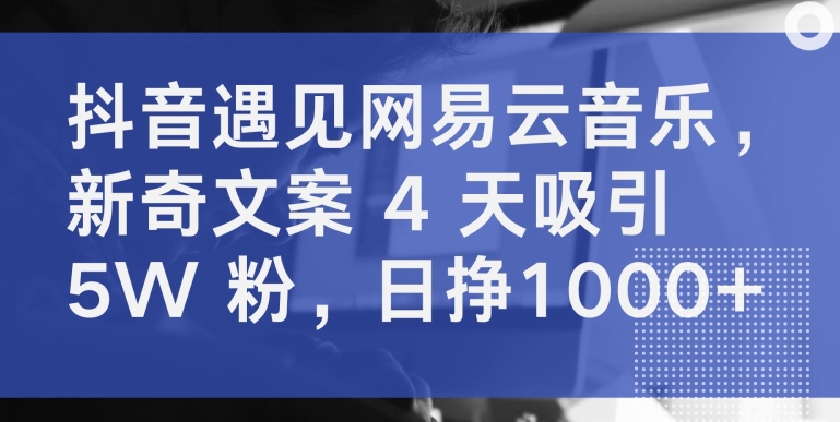 抖音遇见网易云音乐，新奇文案 4 天吸引 5W 粉，日挣1000+【揭秘】-云网创资源站